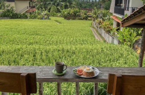 places to eat in Ubud