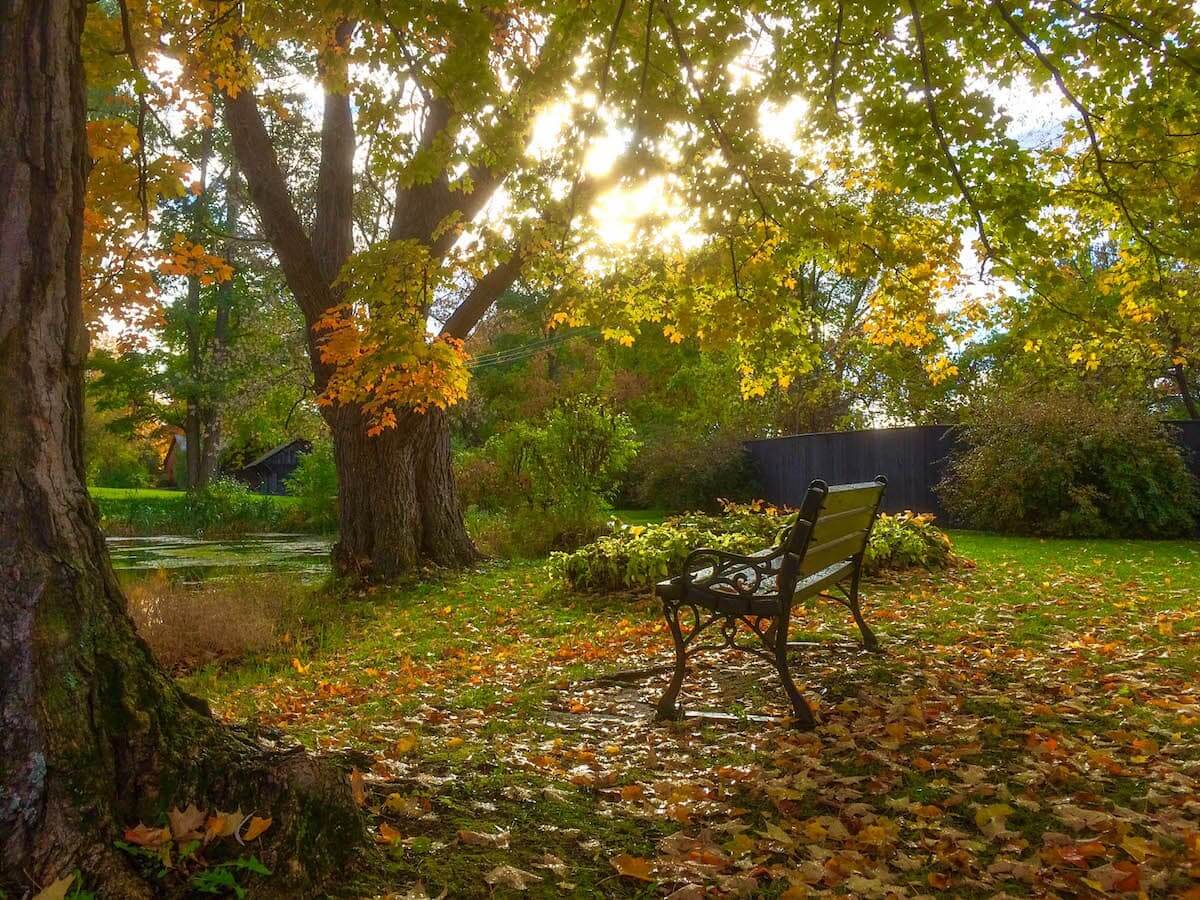 Vermont in fall