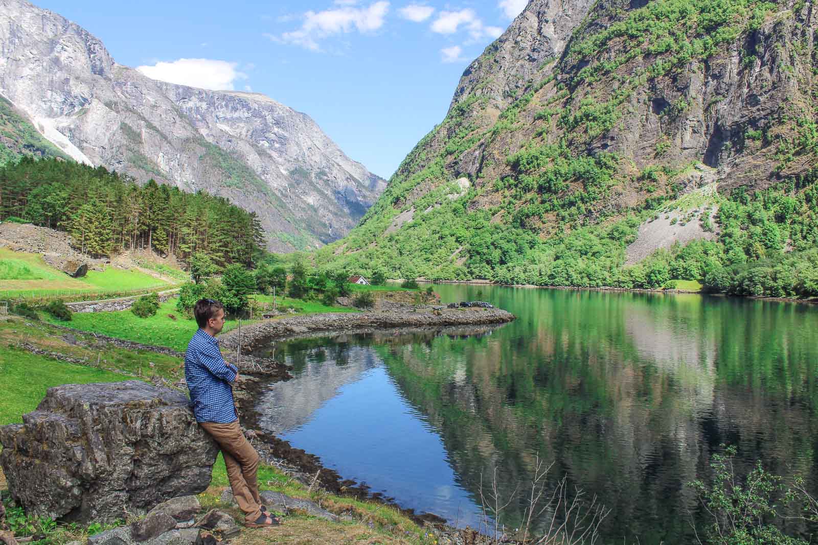 nature in Norway in summer
