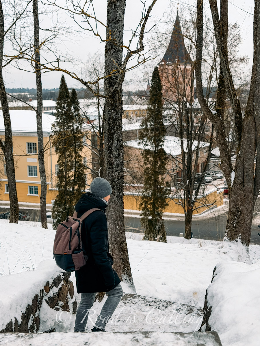 Mark going down the stairs in Toomemae Park