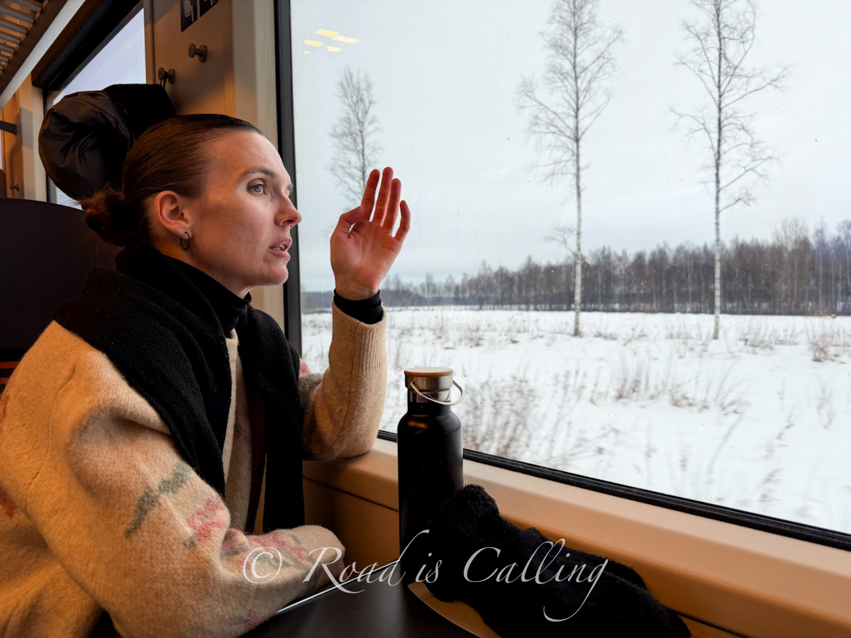 me looking through the window at nature on the train from Tallinn to Tartu