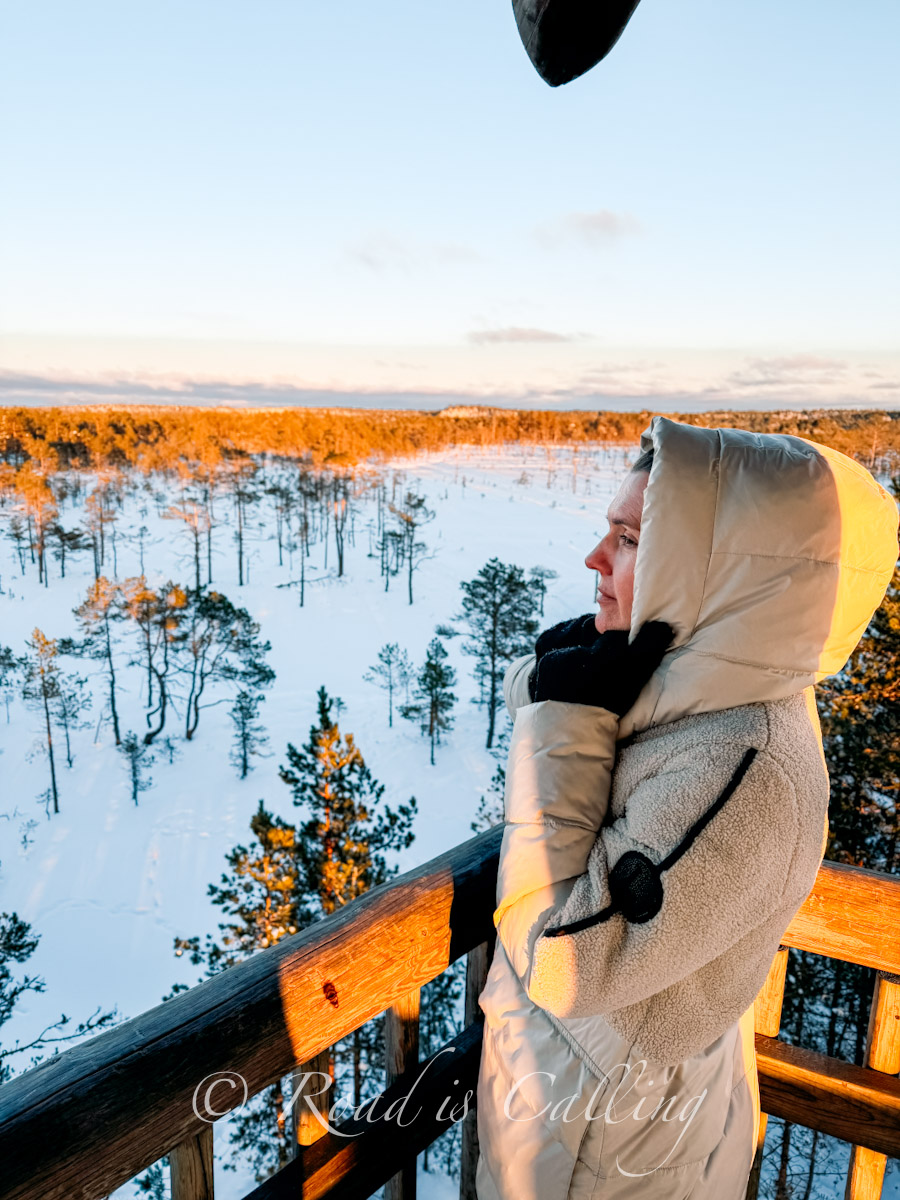 person on endless open views across the wetlands wooden observendless open views across the wetlandstion dech overlooking snowy forest endless open views across the wetlandst sunset in Viru Bog