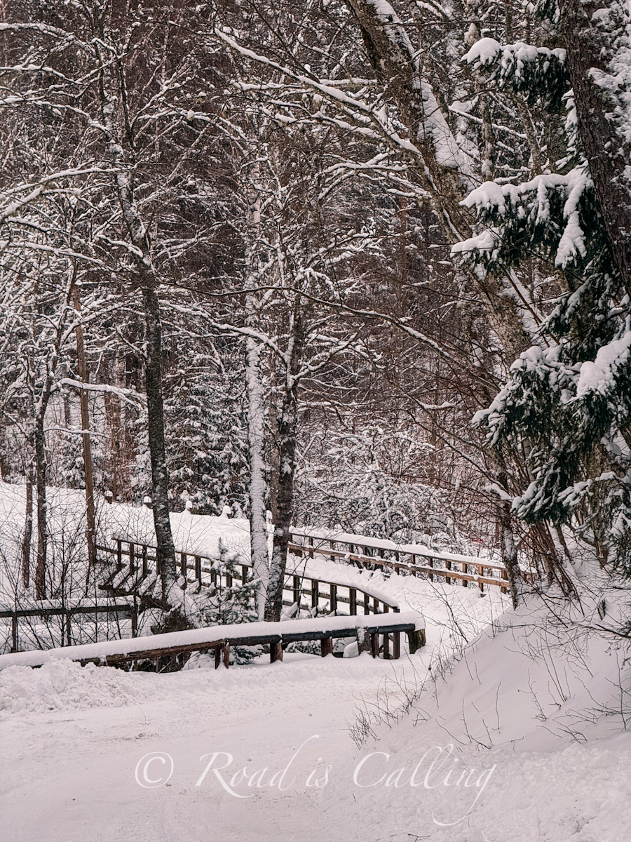 forest landscape with a bridge in Lahemaa National Park in Estonia