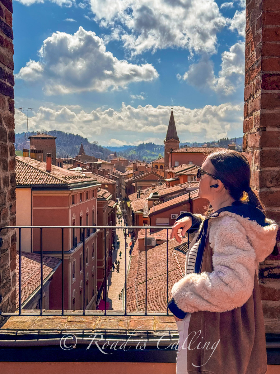 view from the townhall rooftop in Bologna in spring