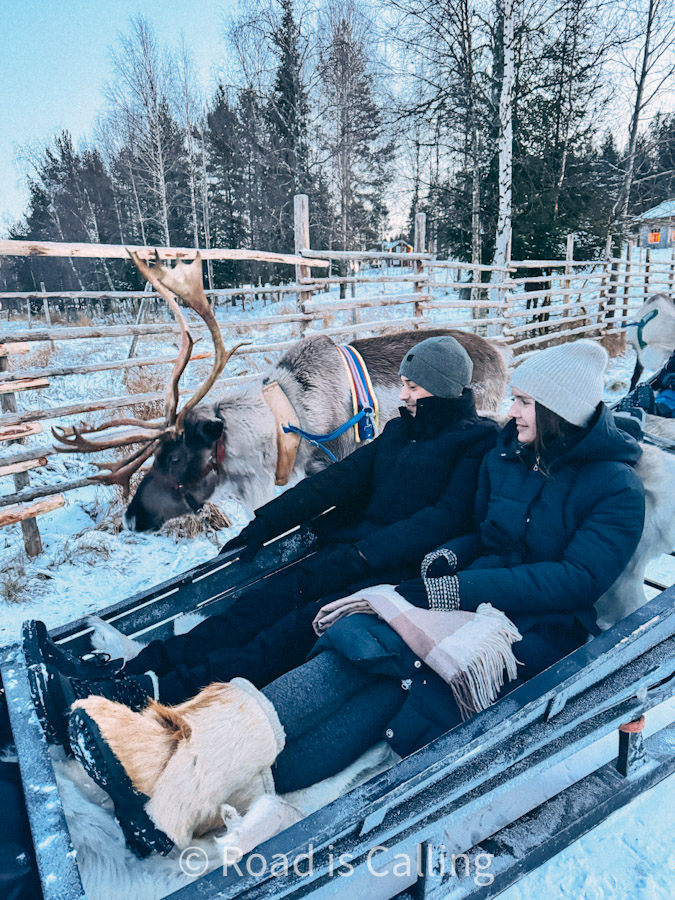 Couple on reindeer sleigh ride through snowy forest in Finnish Lapland