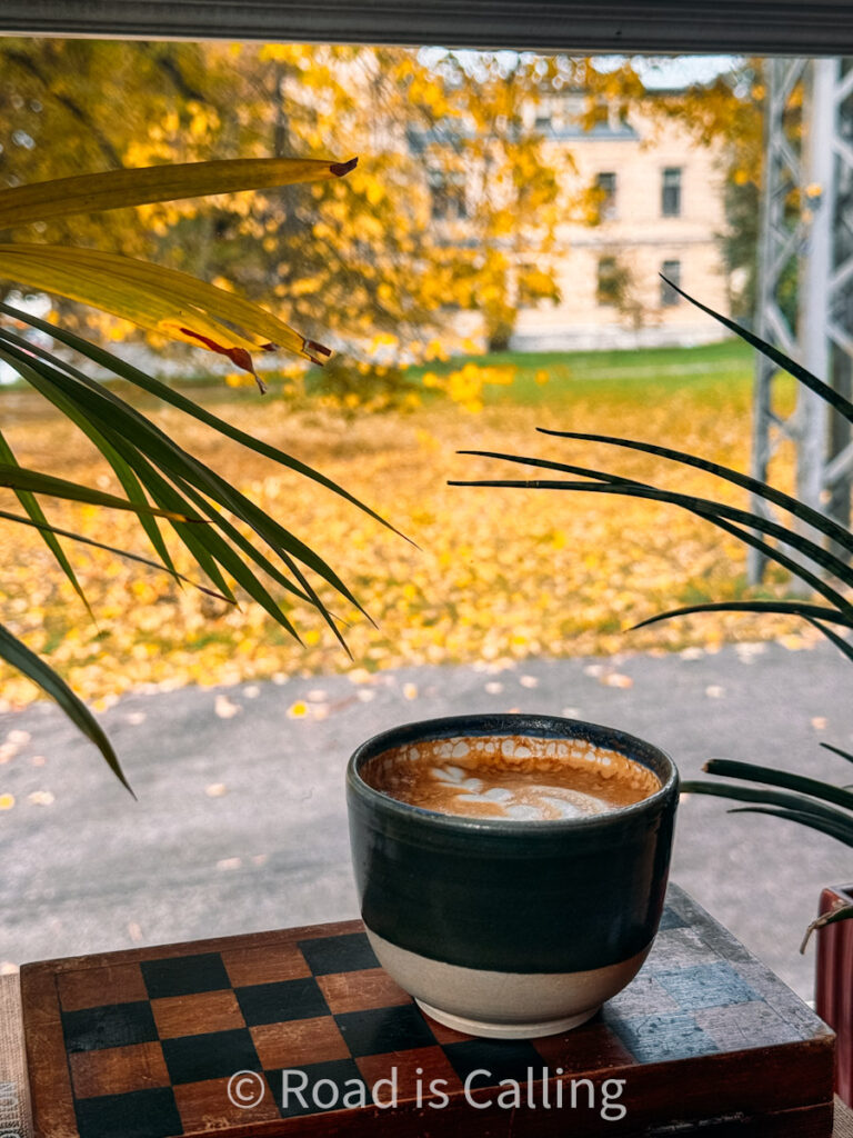 cup of coffee with autumn leaves and yellow trees in Tallinn