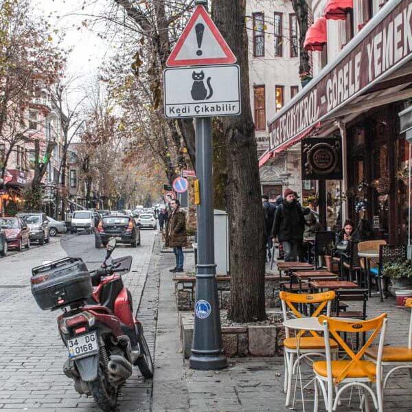 Best Areas in Istanbul: What to Expect From Istanbul Neighborhoods & Districts