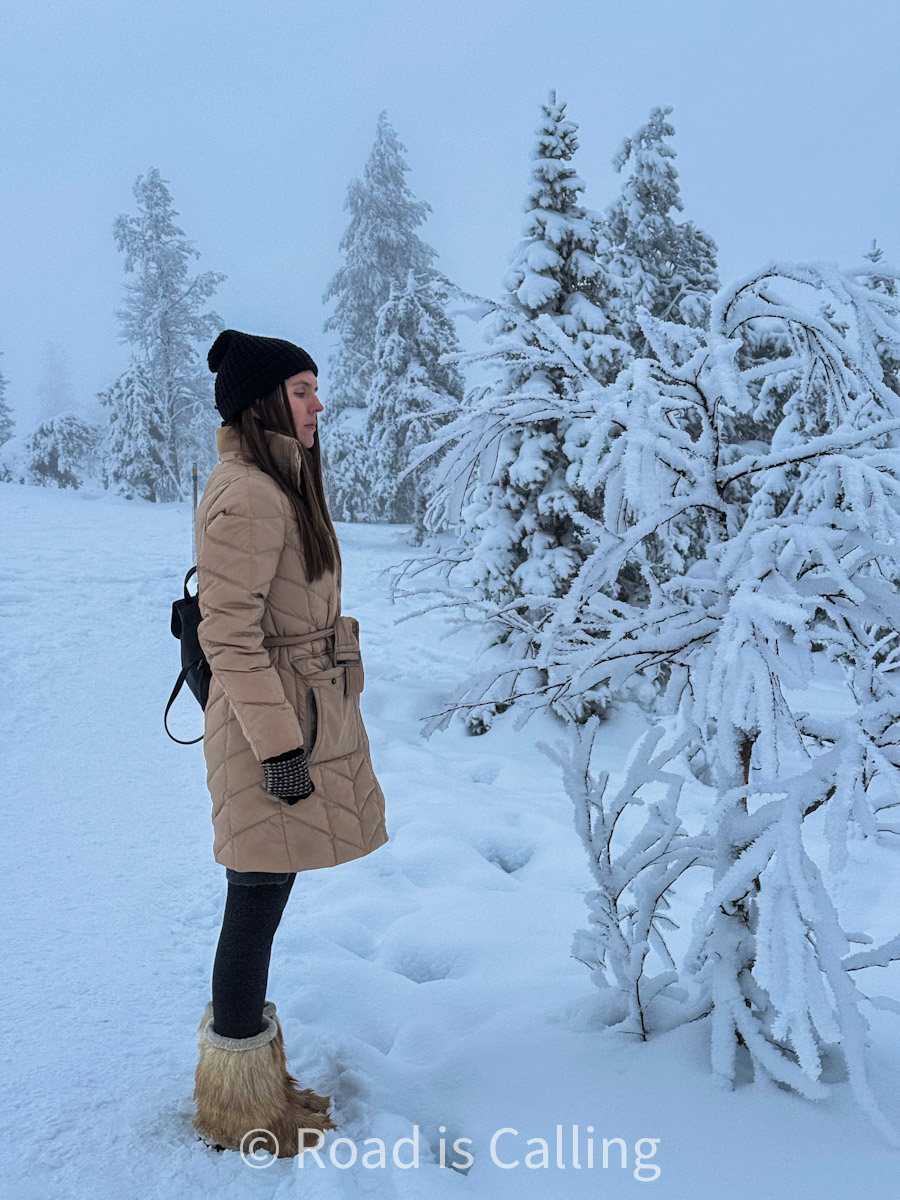 me standing in the winter wonderland forest among snow in Lapland
