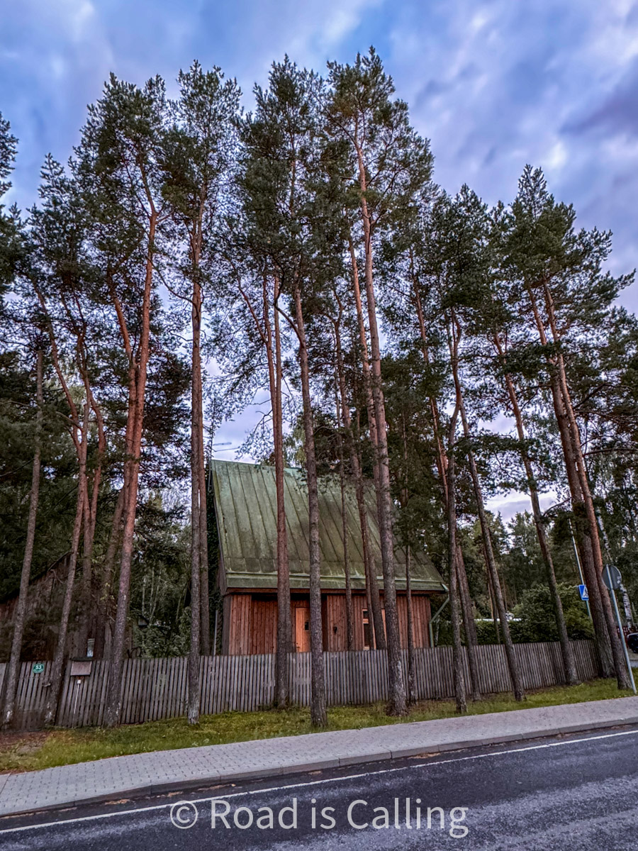 old house hidden behind pine trees in Nomme