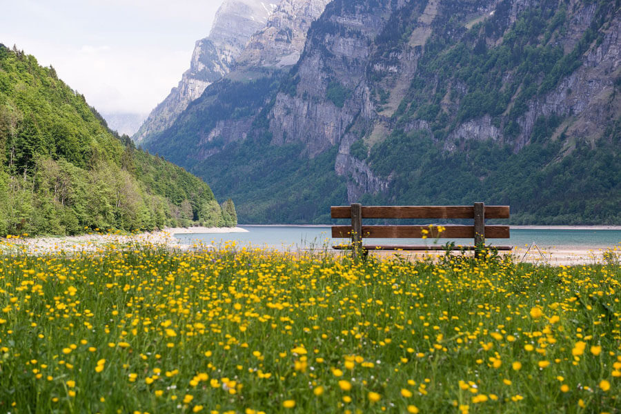 Swiss Alps stress free getaway 
