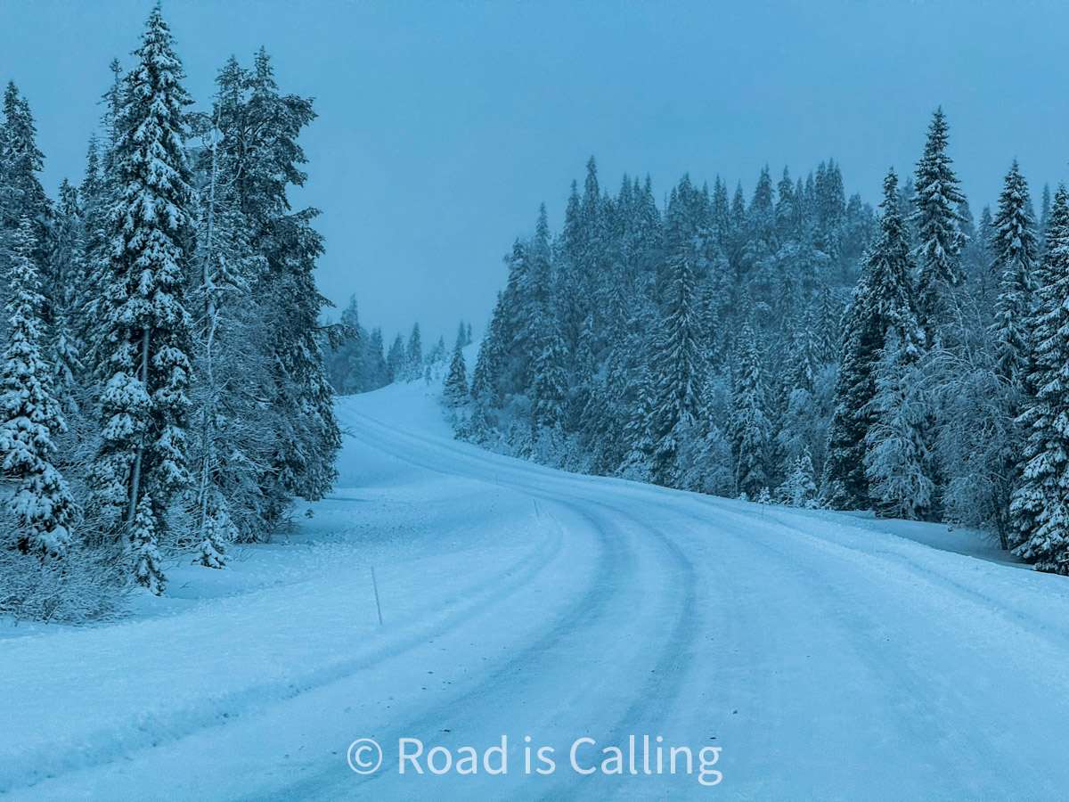 snowy road surrounded by forest in Lapland