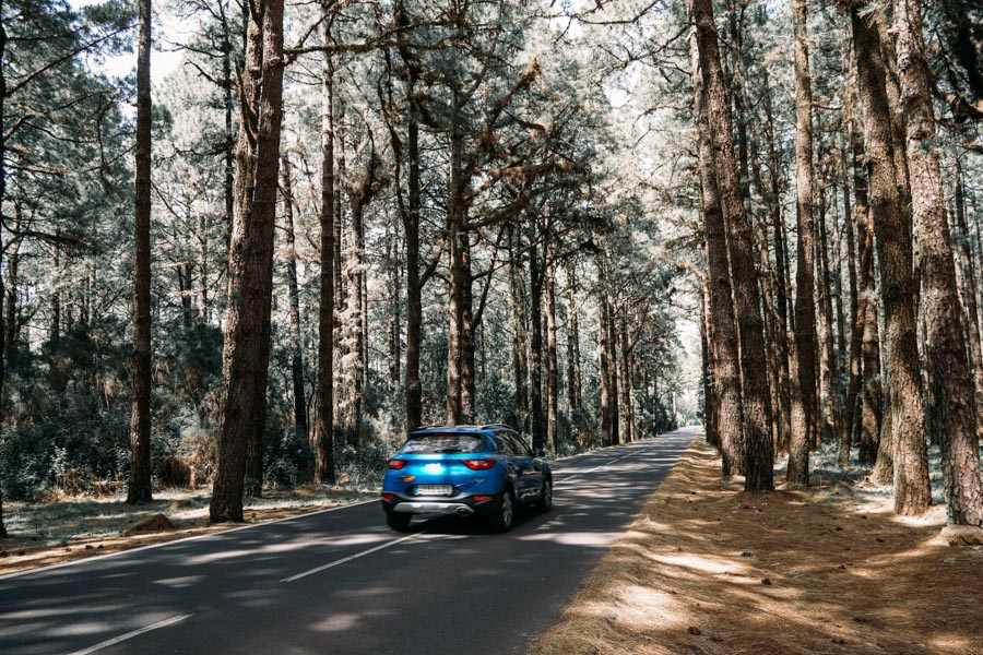 car driving in Teide forest