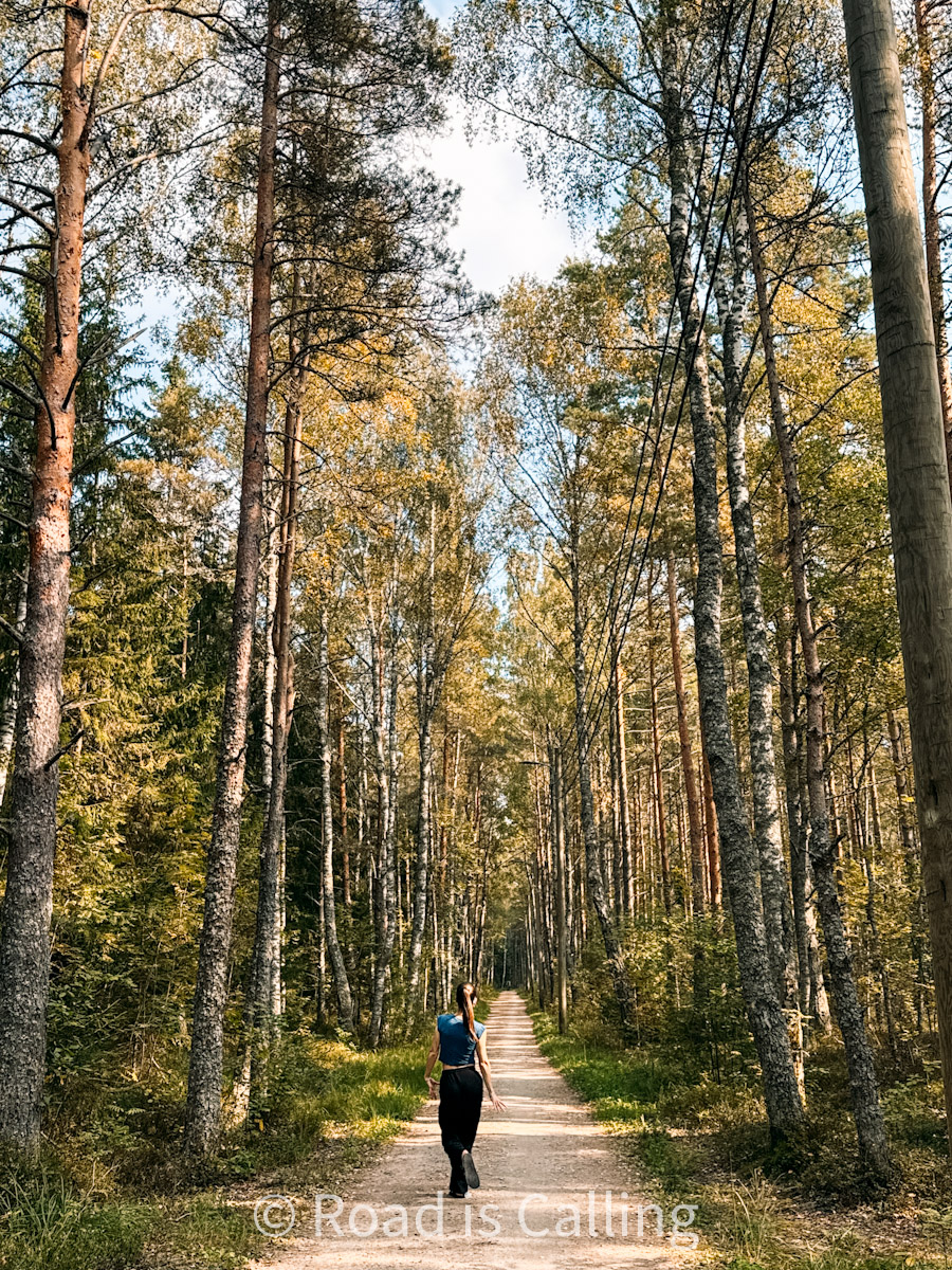 me walking on a path through the forest near Tallinn