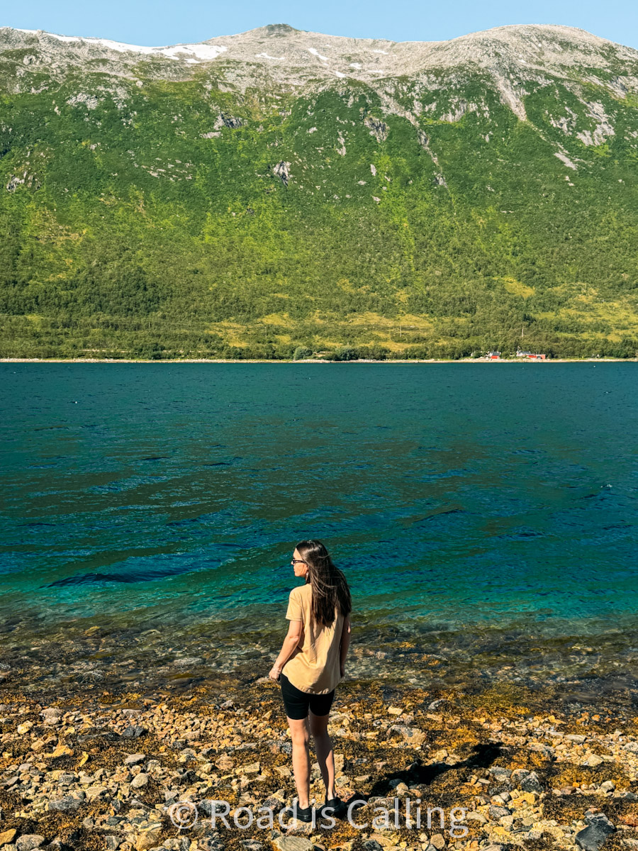 Woman standing on rocky shoreline with vivid turquoise fjord and green mountain backdrop in Northern Norway