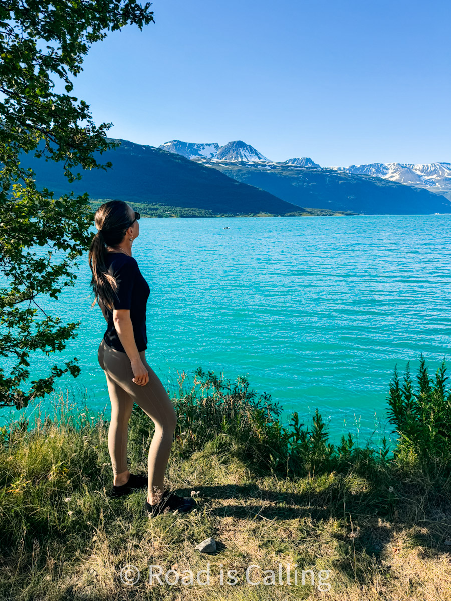 Me looking out at fjord and snow-covered peaks from a hill in Northern Norway