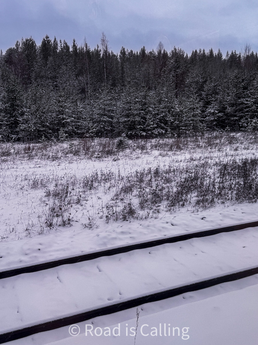 Snow-covered railway tracks leading into a forest in Lapland, Finland
