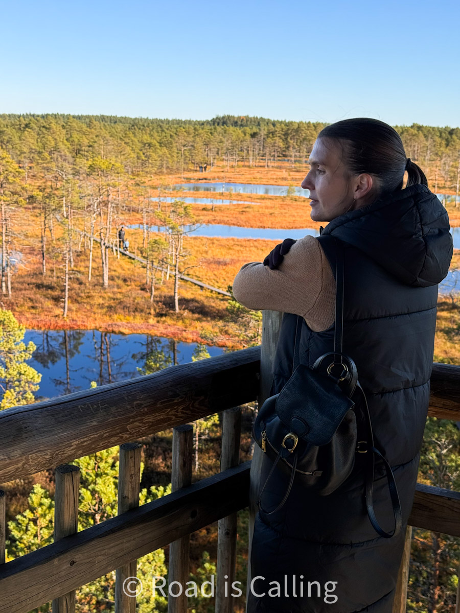 Woman enjoying the view over Viru Bog in Estonia during autumn from a wooden observation tower