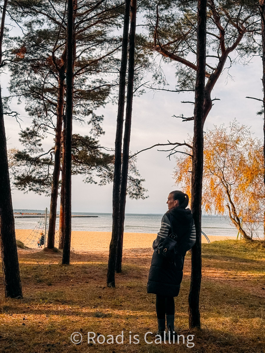 Woman standing among tall pine trees looking at the Baltic Sea near Pirita Beach in Tallinn