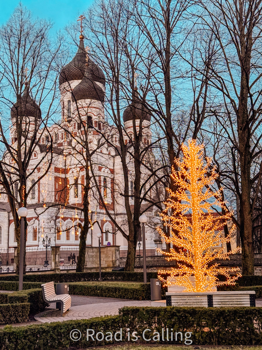 Alexander Nevsky Cathedral in Tallinn decorated with Christmas lights and glowing tree in the park