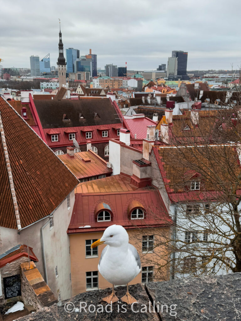 view of Tallinn Old Town rooftops and modern skyline in background