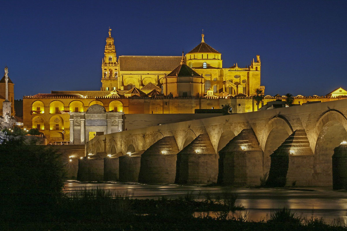 view on Cordoba across the river at night