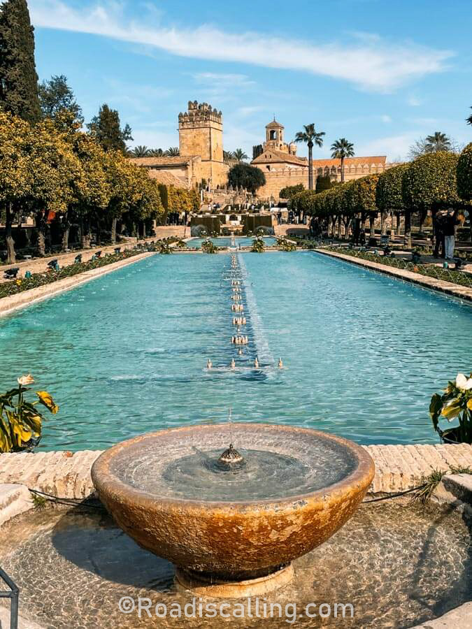 garden with a pond in a palace in Cordoba