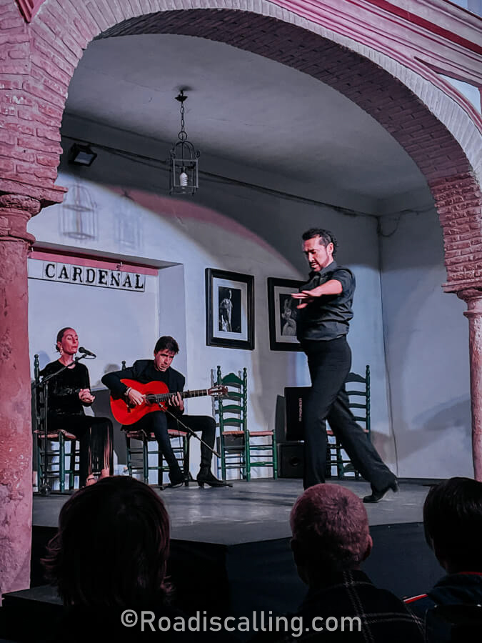 best flamenco in Cordoba