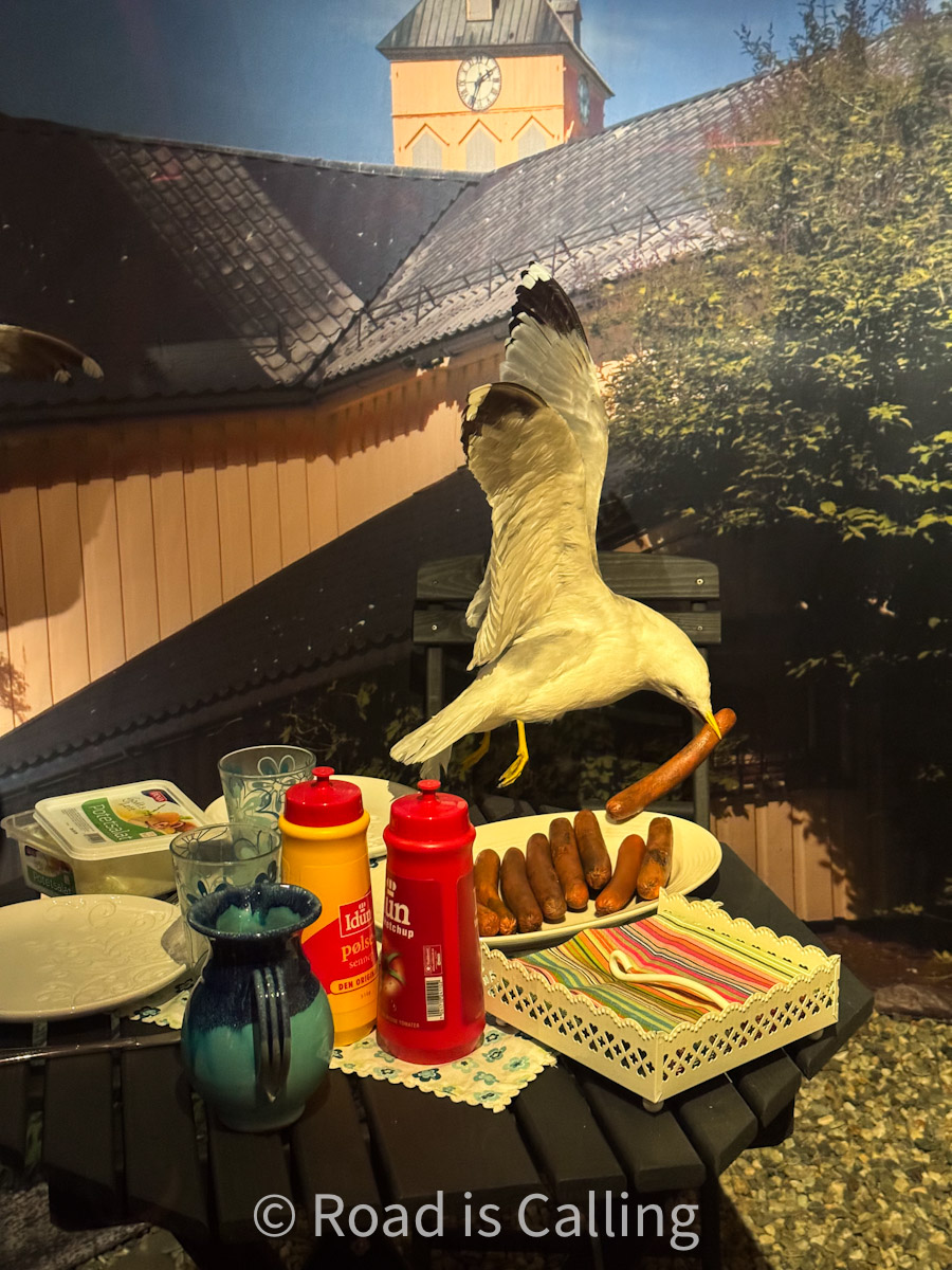 exhibit display with seagull stealing food from the table in cafeteria