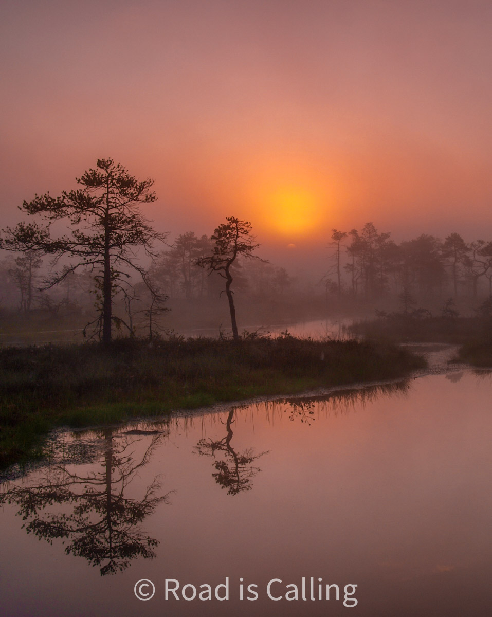 sunrise over bog landscape in Estonia - peaceful nature experience