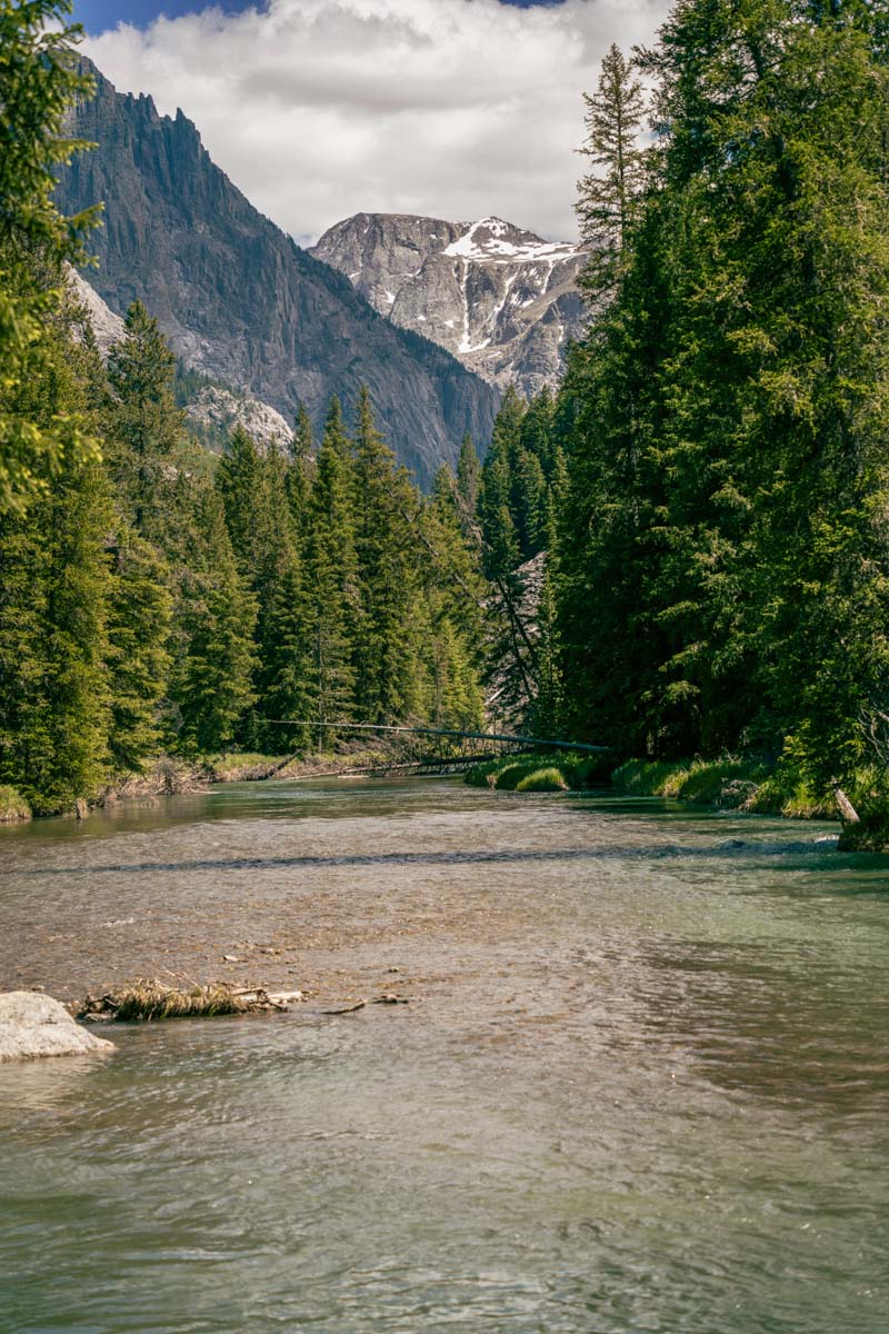 river flowing through the forest and mountains in Pinedale